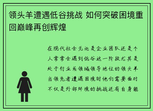 领头羊遭遇低谷挑战 如何突破困境重回巅峰再创辉煌