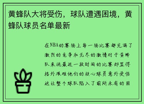 黄蜂队大将受伤，球队遭遇困境，黄蜂队球员名单最新